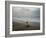 Olive Ridley Turtles Return to the Bay of Bengal Sea after Laying Eggs on Gokhurkuda Beach, India-null-Framed Photographic Print