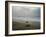 Olive Ridley Turtles Return to the Bay of Bengal Sea after Laying Eggs on Gokhurkuda Beach, India-null-Framed Photographic Print