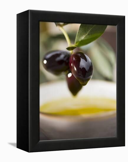 Olive Sprig with Black Olives over Bowl of Olive Oil-null-Framed Premier Image Canvas