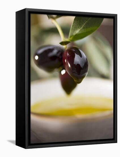 Olive Sprig with Black Olives over Bowl of Olive Oil-null-Framed Premier Image Canvas