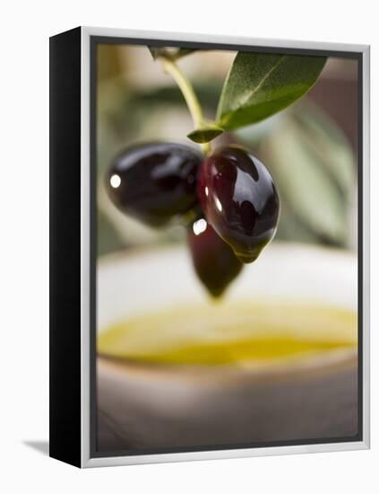 Olive Sprig with Black Olives over Bowl of Olive Oil-null-Framed Premier Image Canvas