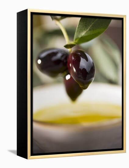 Olive Sprig with Black Olives over Bowl of Olive Oil-null-Framed Premier Image Canvas