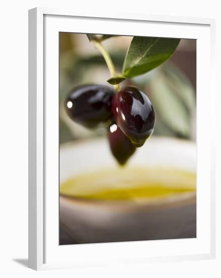 Olive Sprig with Black Olives over Bowl of Olive Oil-null-Framed Photographic Print