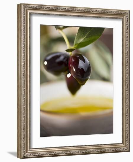 Olive Sprig with Black Olives over Bowl of Olive Oil-null-Framed Photographic Print