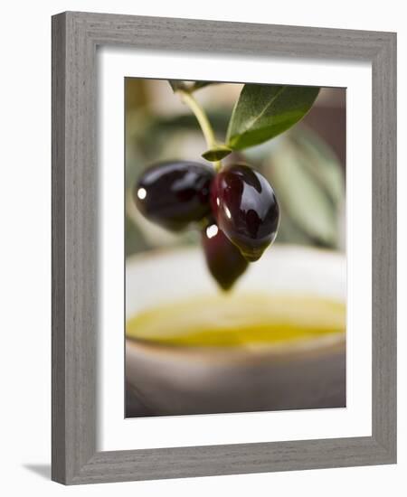 Olive Sprig with Black Olives over Bowl of Olive Oil-null-Framed Photographic Print