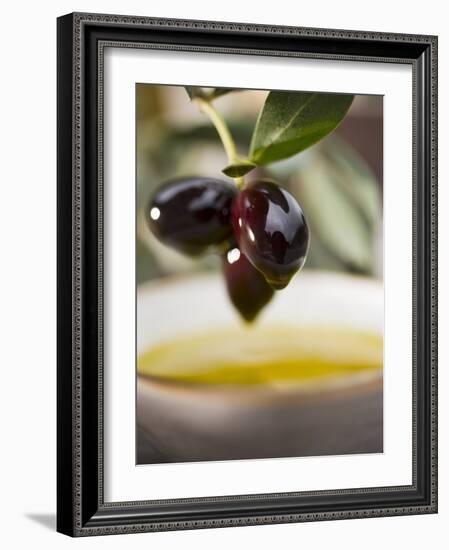 Olive Sprig with Black Olives over Bowl of Olive Oil-null-Framed Photographic Print