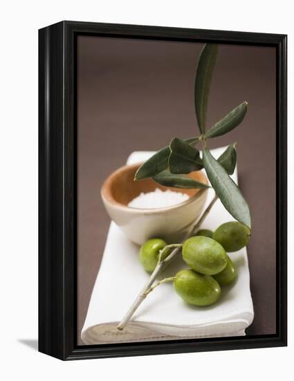 Olive Sprig with Green Olives, Sea Salt in Terracotta Bowl-null-Framed Premier Image Canvas