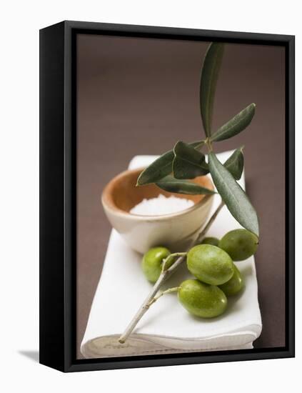 Olive Sprig with Green Olives, Sea Salt in Terracotta Bowl-null-Framed Premier Image Canvas
