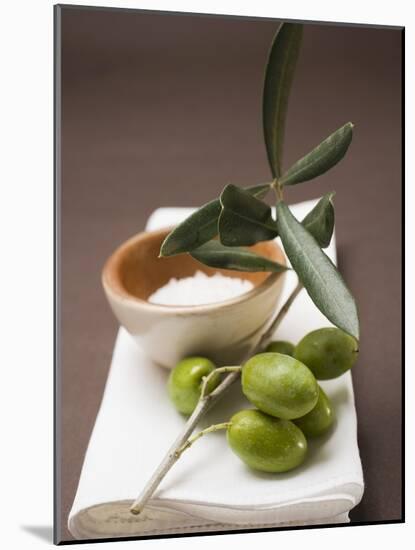 Olive Sprig with Green Olives, Sea Salt in Terracotta Bowl-null-Mounted Photographic Print