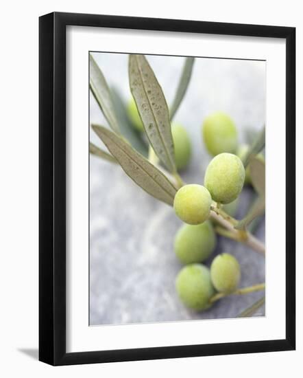 Olive Sprig with Green Olives-Brigitte Sporrer-Framed Photographic Print