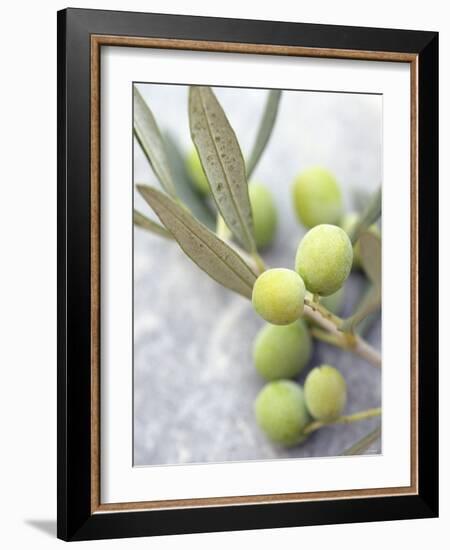 Olive Sprig with Green Olives-Brigitte Sporrer-Framed Photographic Print