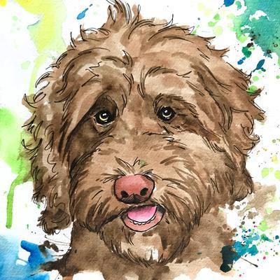 labradoodle art
