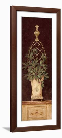 Olive Topiary I-Pamela Gladding-Framed Art Print