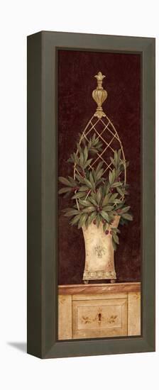 Olive Topiary I-Pamela Gladding-Framed Stretched Canvas