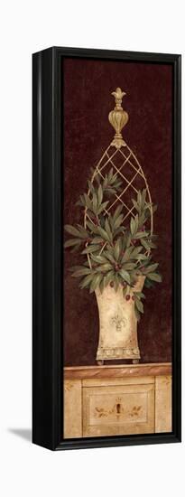 Olive Topiary I-Pamela Gladding-Framed Stretched Canvas