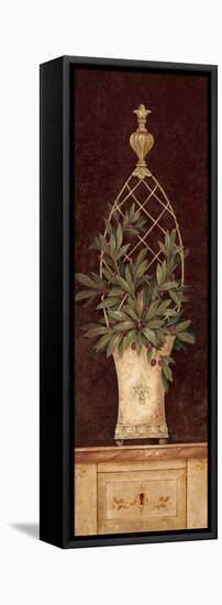 Olive Topiary I-Pamela Gladding-Framed Stretched Canvas