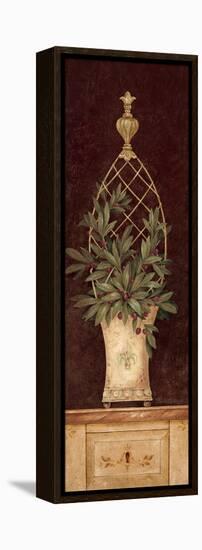 Olive Topiary I-Pamela Gladding-Framed Stretched Canvas