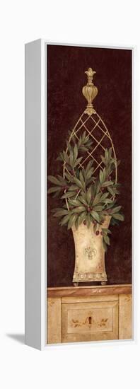 Olive Topiary I-Pamela Gladding-Framed Stretched Canvas