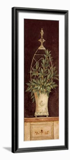 Olive Topiary II-Pamela Gladding-Framed Art Print