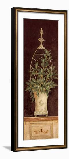 Olive Topiary II-Pamela Gladding-Framed Art Print