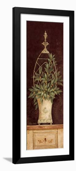 Olive Topiary II-Pamela Gladding-Framed Art Print