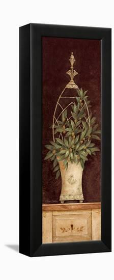 Olive Topiary II-Pamela Gladding-Framed Stretched Canvas