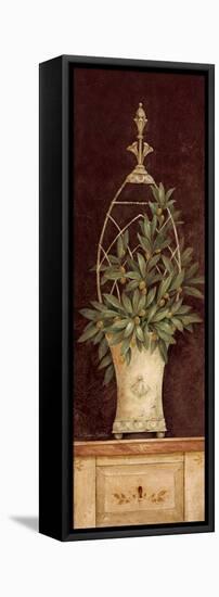 Olive Topiary II-Pamela Gladding-Framed Stretched Canvas