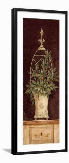 Olive Topiary II-Pamela Gladding-Framed Art Print