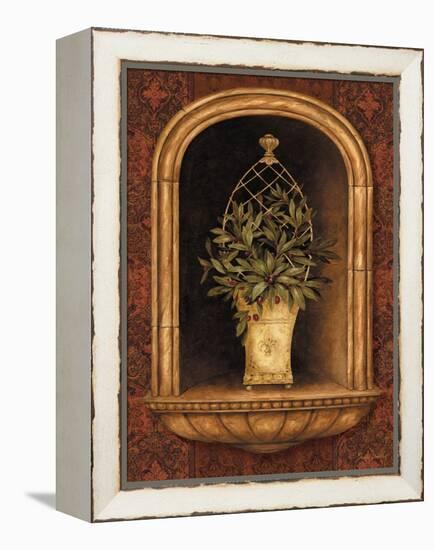 Olive Topiary Niches II-Pamela Gladding-Framed Stretched Canvas