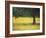 Olive Tree in Field of Wild Flowers, Near Fez, Morocco, North Africa, Africa-Lee Frost-Framed Photographic Print