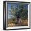 Olive Tree in Sicily-CM Dixon-Framed Photographic Print