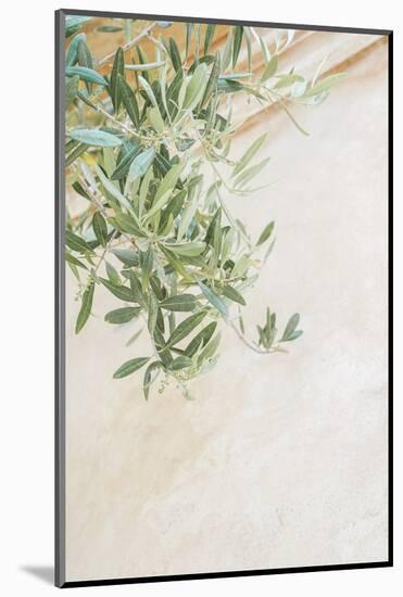 Olive Tree Leaves-Henrike Schenk-Mounted Photographic Print