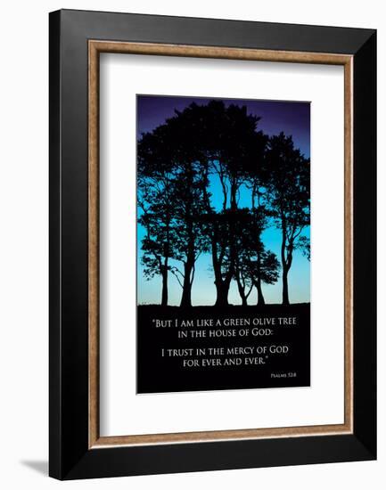 Olive Tree-null-Framed Art Print