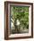 Olive Tree-Rogge & Jankovic-Framed Photographic Print