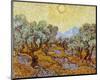 Olive Trees, 1889-Vincent van Gogh-Mounted Art Print