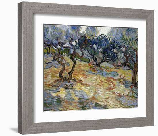 Olive Trees, 1889-Vincent van Gogh-Framed Art Print