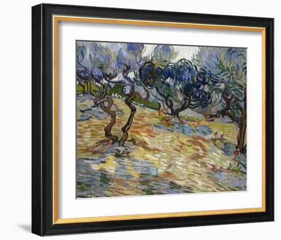 Olive Trees, 1889-Vincent van Gogh-Framed Art Print