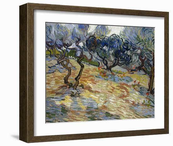 Olive Trees, 1889-Vincent van Gogh-Framed Art Print