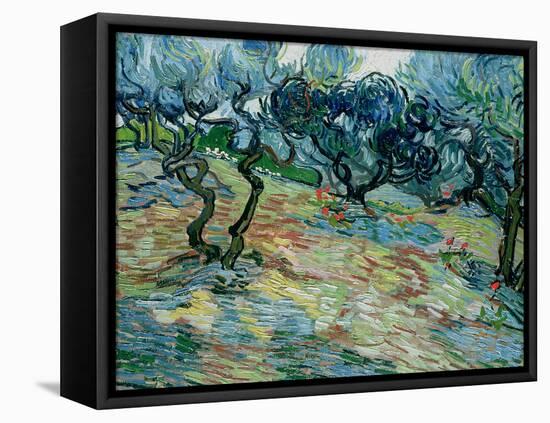 Olive Trees, 1889-Vincent van Gogh-Framed Premier Image Canvas