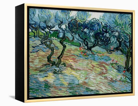 Olive Trees, 1889-Vincent van Gogh-Framed Premier Image Canvas