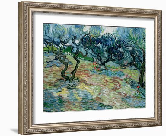 Olive Trees, 1889-Vincent van Gogh-Framed Giclee Print