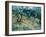 Olive Trees, 1889-Vincent van Gogh-Framed Giclee Print