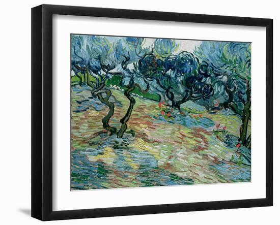 Olive Trees, 1889-Vincent van Gogh-Framed Giclee Print