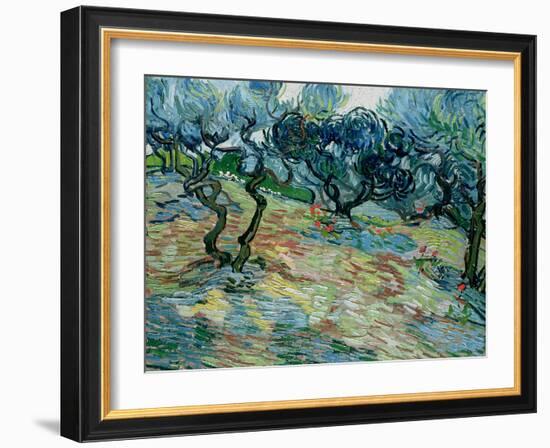 Olive Trees, 1889-Vincent van Gogh-Framed Giclee Print