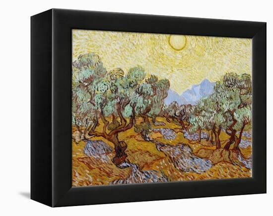 Olive Trees, 1889-Vincent van Gogh-Framed Premier Image Canvas