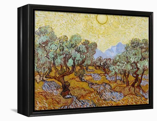 Olive Trees, 1889-Vincent van Gogh-Framed Premier Image Canvas