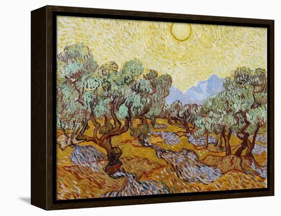 Olive Trees, 1889-Vincent van Gogh-Framed Premier Image Canvas