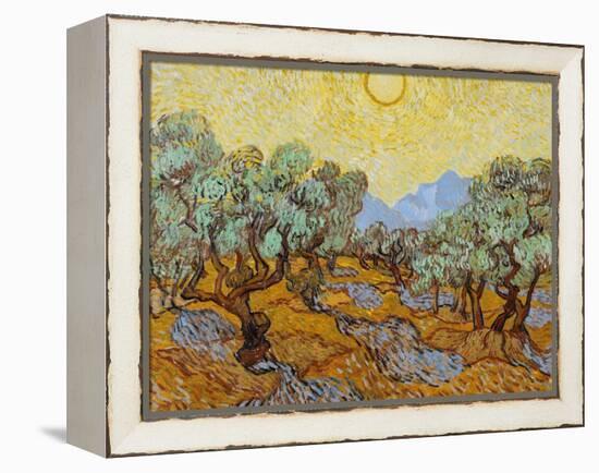 Olive Trees, 1889-Vincent van Gogh-Framed Premier Image Canvas