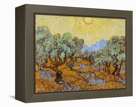 Olive Trees, 1889-Vincent van Gogh-Framed Premier Image Canvas