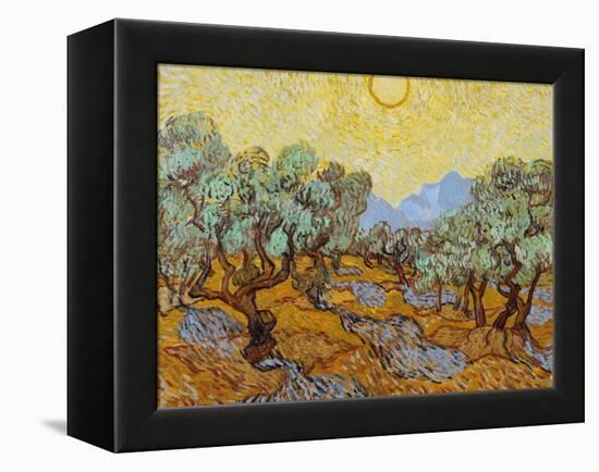 Olive Trees, 1889-Vincent van Gogh-Framed Premier Image Canvas